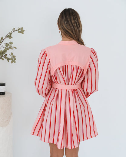 Josiane Pink Stripe Dress | Women's Striped Shirt Dress