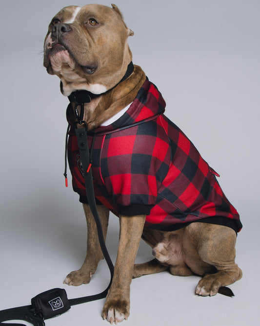 Dog Hoodie - Redrum